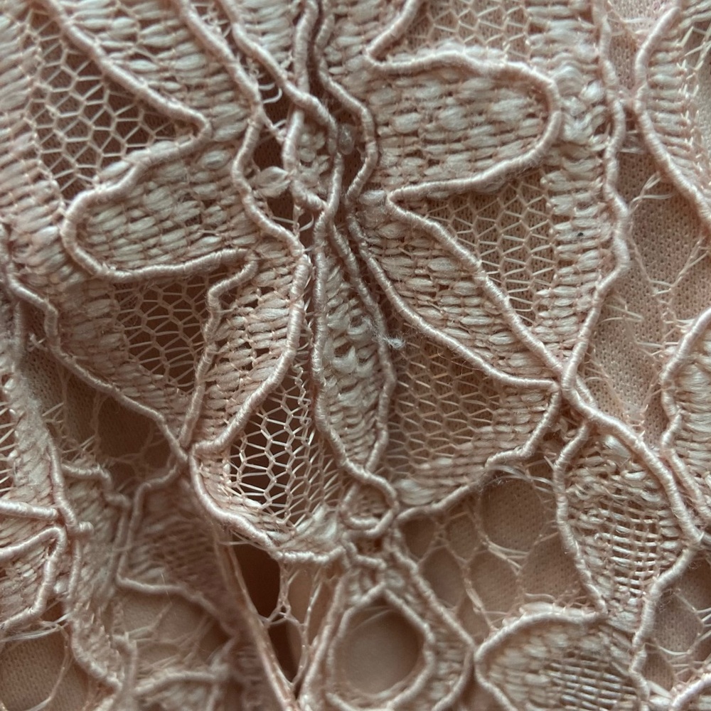 BLUSH LACE DRESS - Picture 10 of 14